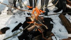 pieczenie kiełbasek