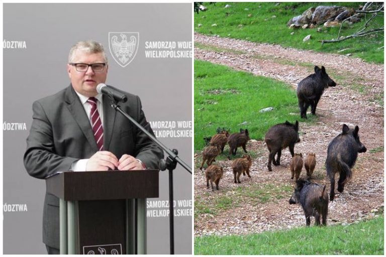 wicemarszałek Krzysztof Grabowski / wataha wilków