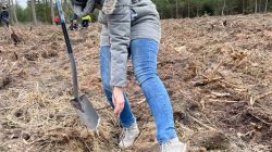 Na terenie leśnictwa Grzymiszew przybyło młodych drzew | Marta Kiszewska