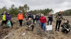 Leśnictwo Grzymiszew - akcja sadzenia drzew