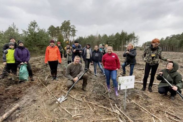 Leśnictwo Grzymiszew - akcja sadzenia drzew