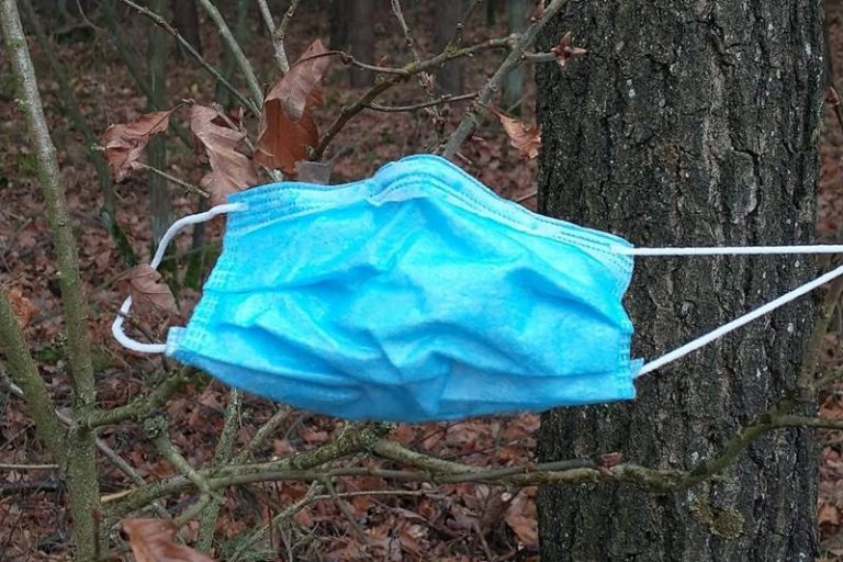 maseczka na drzewie