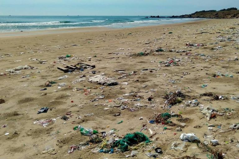Zanieczyszczona plaża nad Bałtykiem