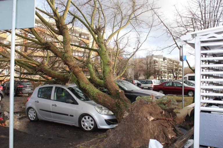 Turek. Połamane drzewa, przywalone samochody