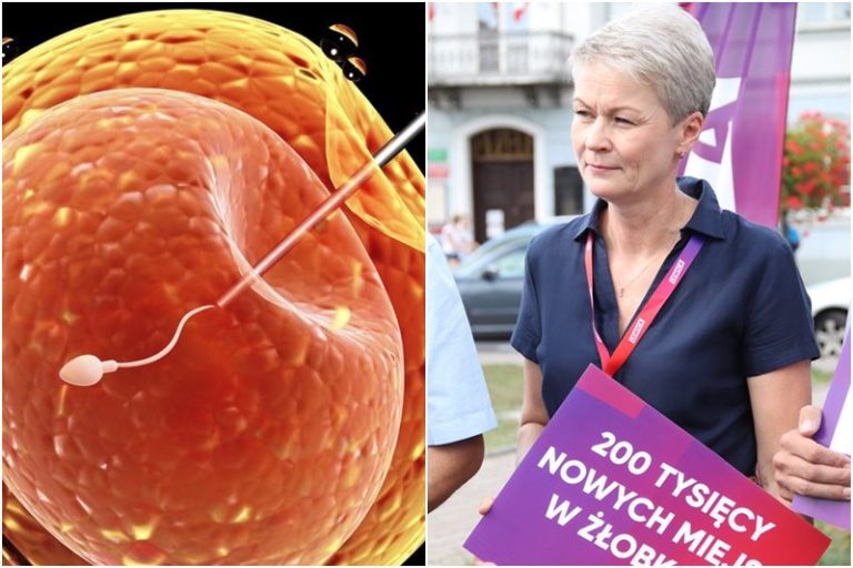 od lewej: zapłodnienie in vitro; Joanna Maciejewska