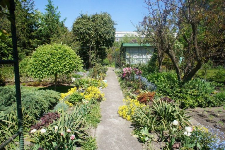 rodzinne ogrody działkowe