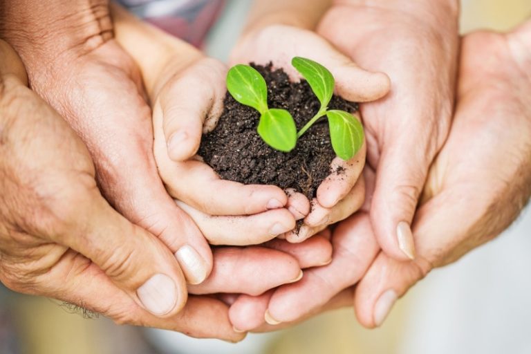 Splecione dłonie trzymające ziemię i mała roślinkę