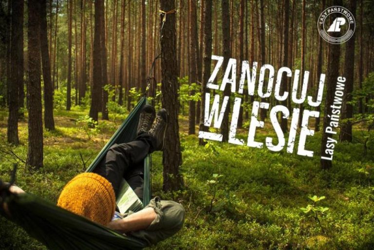 Zanocuj w lesie | mężczyzna na hamaku w lesie