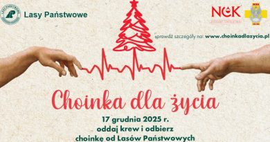 Choinka dla życia wraca do Turku. Podziękowanie dla krwiodawców
