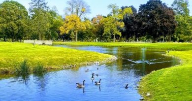 Gmina Dobra stawia na klimat. Ponad 3 mln zł na parki i wodę