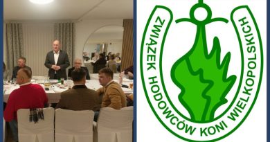 Malanów stolicą jeździectwa w Wielkopolsce