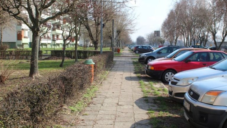 Drzewa na Wyzwolenia. Wycinka nie jest jedynym rozwiązaniem
