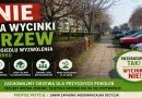 NIE dla wycinki drzew na osiedlu Wyzwolenia. Ruszyła petycja