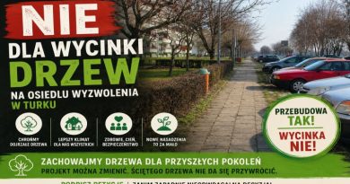 NIE dla wycinki drzew na osiedlu Wyzwolenia. Ruszyła petycja