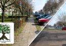 TKE o osiedlu Wyzwolenia: przebudowa tak, wycinka nie