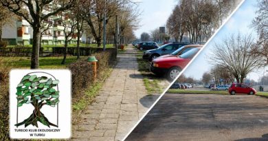 TKE o osiedlu Wyzwolenia: przebudowa tak, wycinka nie