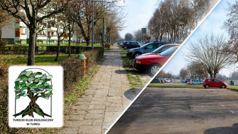 TKE o osiedlu Wyzwolenia: przebudowa tak, wycinka nie