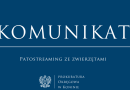Patostreaming ze zwierzętami w Turku. Prokuratura bada