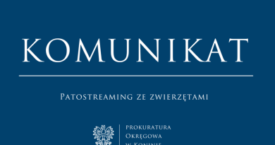Patostreaming ze zwierzętami w Turku. Prokuratura bada