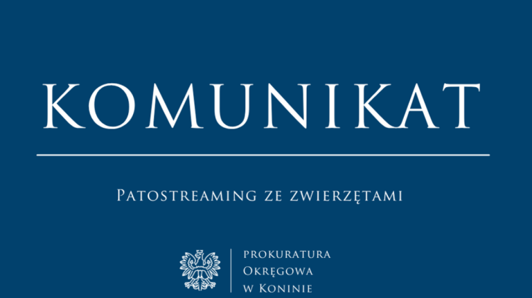 Patostreaming ze zwierzętami w Turku. Prokuratura bada
